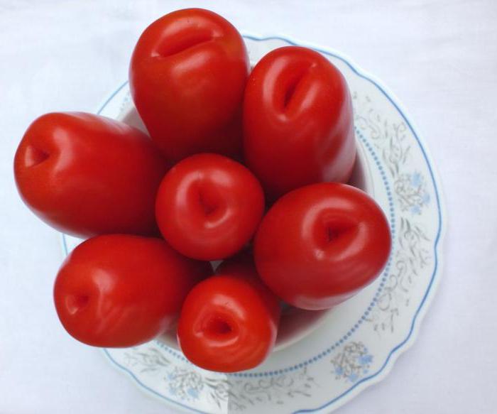 Tomato "Človecká dôstojnosť" popis