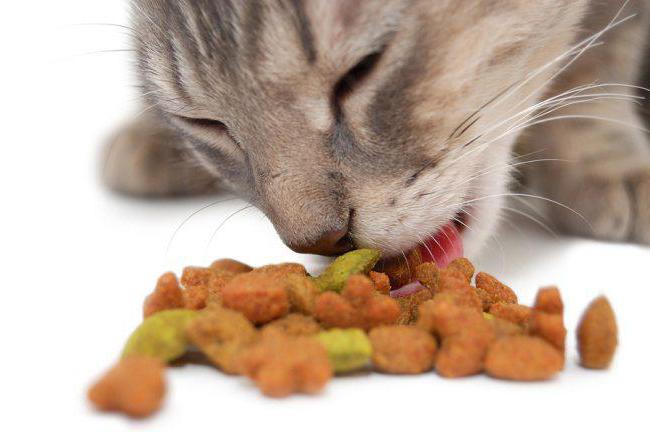 Potraviny pre mačky 