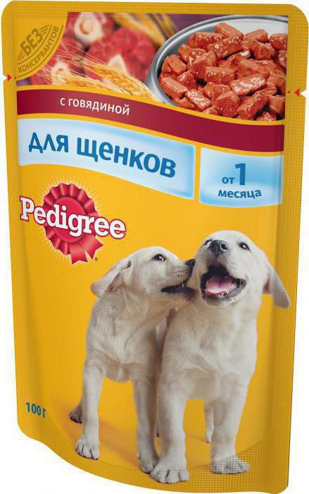 Jedlo pre psov 