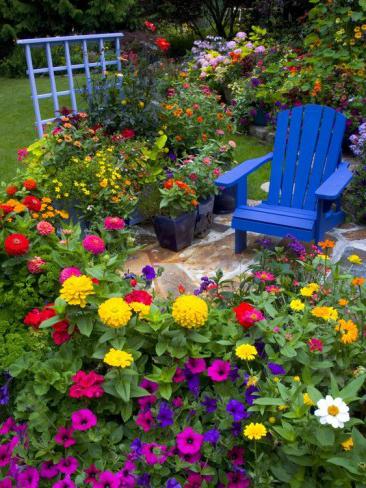 Letné kvety: ako si vybrať začínajúceho záhradníka