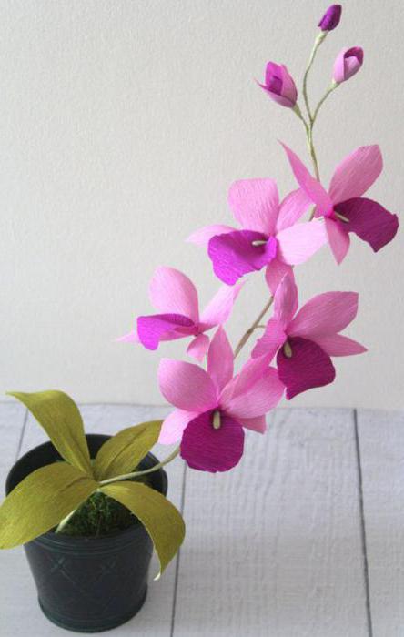Kvety s vlastnými rukami: orchidea z vlnitého papiera