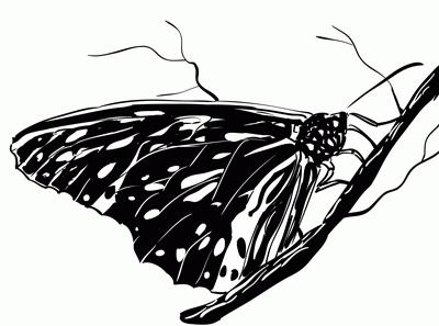 Ako nakresliť motýľ?