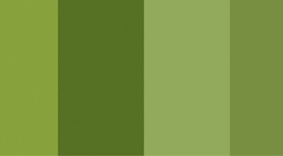 odtiene palety zelených farieb farieb
