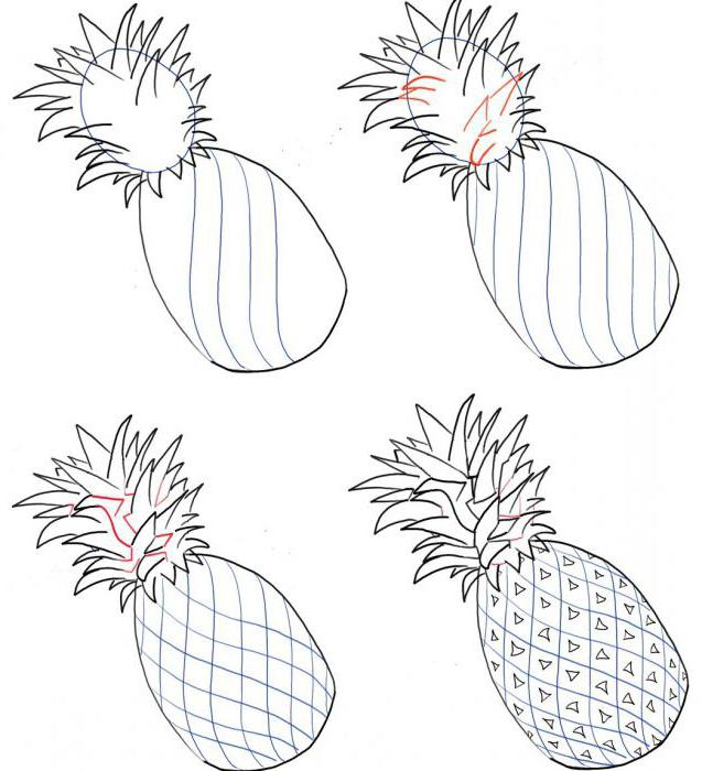 Podrobnosti o tom, ako nakresliť ananás