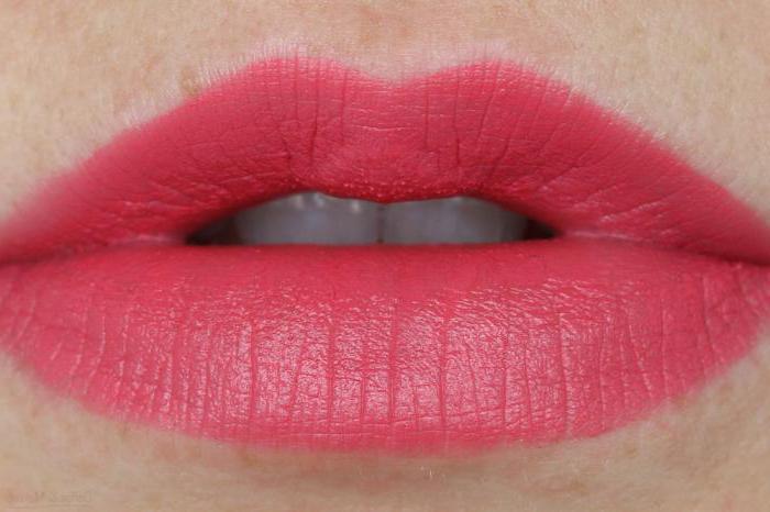 Kozmetika NYX. Lipstick NYX - perfektné riešenie pre štýlové make-up