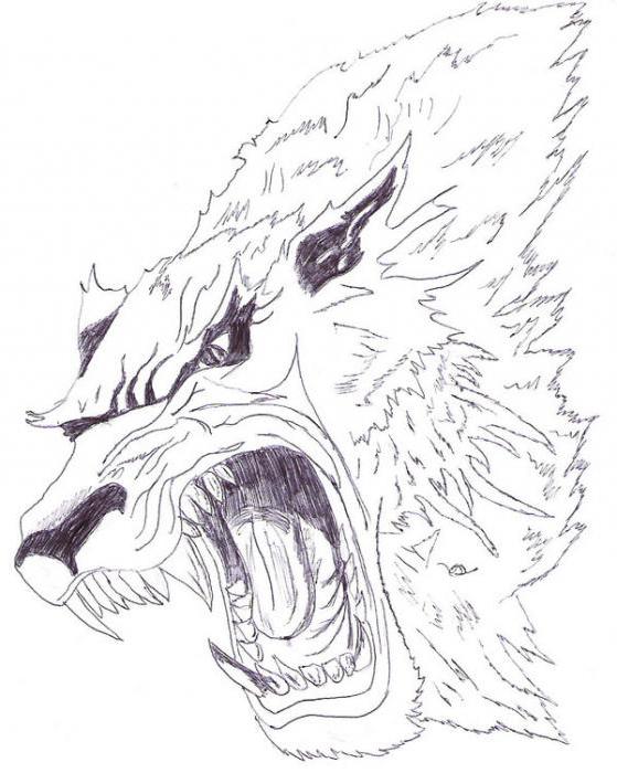 Vlkodlak - tetovanie so zmyslom