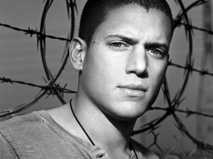 Biografia Wentworth Miller - filmografia, osobný život a zaujímavé fakty