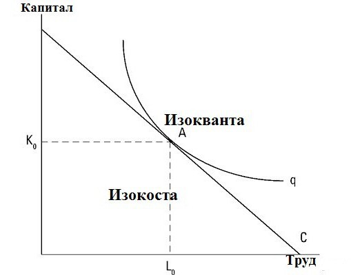 je to isocosta