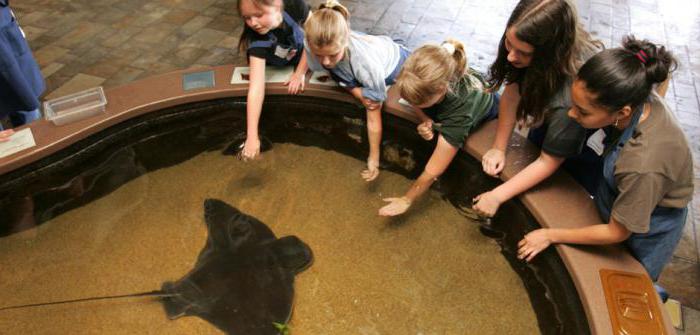 Penza Oceanarium cena lístka