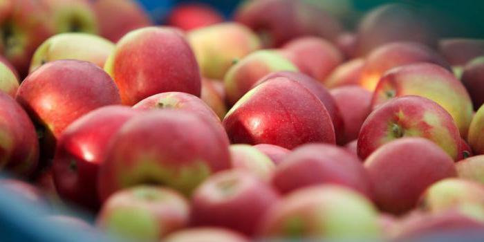 Príslovia o jablone: ​​príklady, čo znamená