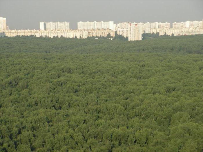 Troparevský lesný park