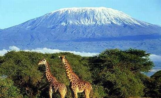 Viete, čo je najväčšia sopka v Afrike?