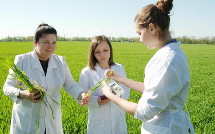 Krasnodar Agrarian University 