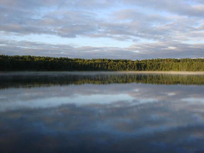 jazero linevo Omsk región recenzie