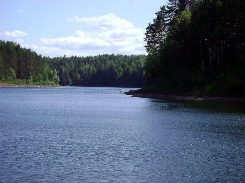 Jezero Neslyšící v ihličnatých lesoch