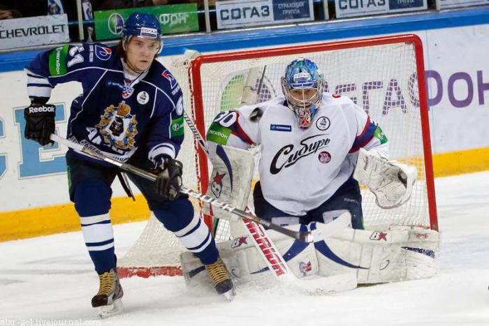 Sergey Plotnikov hokejista fotografie