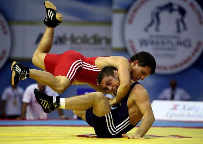 Freestyle wrestling a Greco-Roman: rozdiely a hlavné rysy