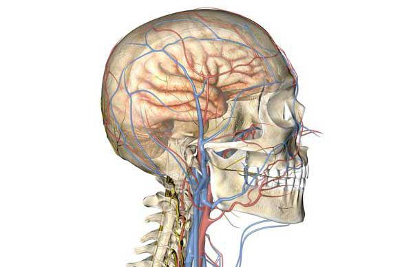 cerebrálny angioedém mozgových ciev