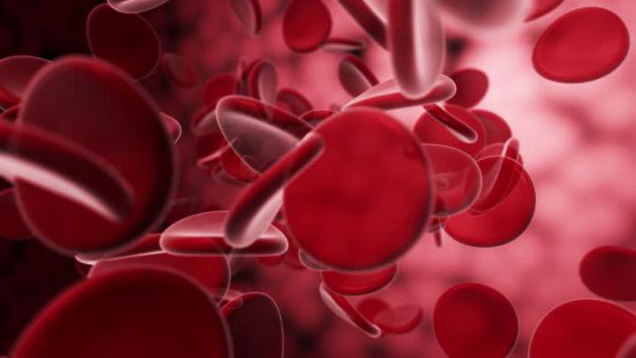 Zvýšené červené krvinky a leukocyty v moči: príčiny
